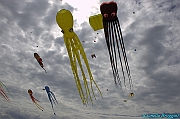 RIMINI 2012 - 161